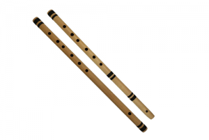 INSTRUMENT OF THE REED